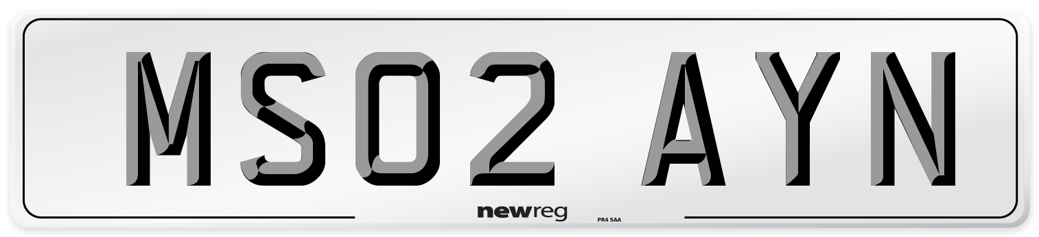 MS02 AYN Number Plate from New Reg